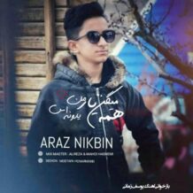 دانلود آهنگ جدید آراز نیک بین به نام  همه میگن یار من یدونه اس